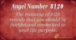 8120 angel number