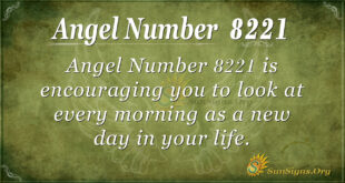 8221 angel number