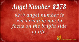 8278 angel number