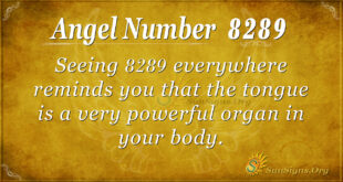 8289 angel number