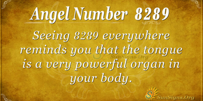 8289 angel number