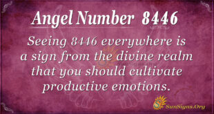 8446 angel number