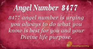 8477 angel number
