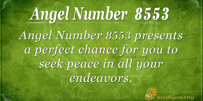 8553 angel number