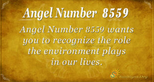 8559 angel number