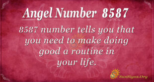 8587 angel number