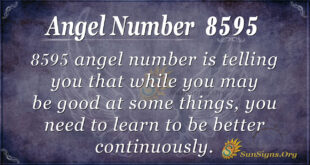 8595 angel number