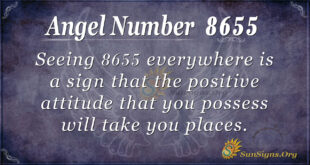 8655 angel number