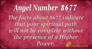 8677 angel number