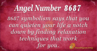 8687 angel number