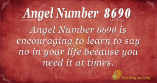 8690 angel number