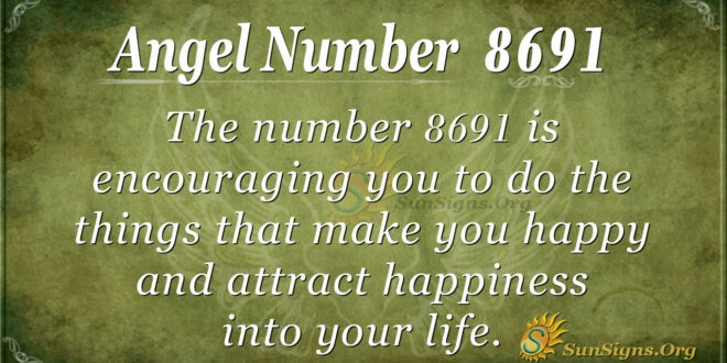 8691 angel number