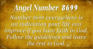 8699 angel number