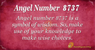 8737 angel number