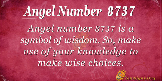 8737 angel number