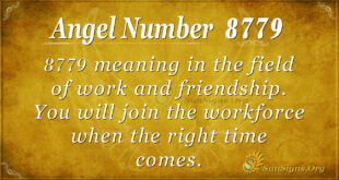 8779 angel number