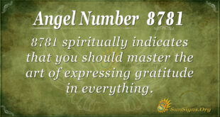 8781 angel number