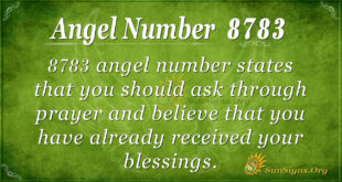8783 angel number