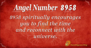 8958 angel number