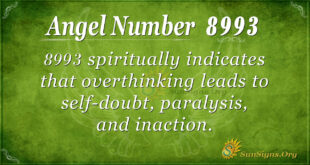 8993 angel number
