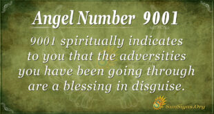 9001 angel number