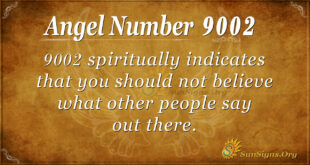 9002 angel number