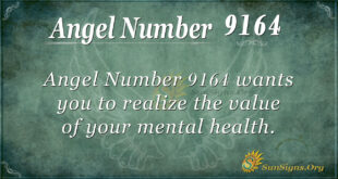 9164 angel number
