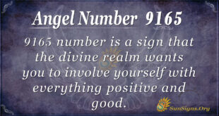 9165 angel number