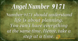 9171 angel number