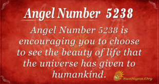 5238 angel number