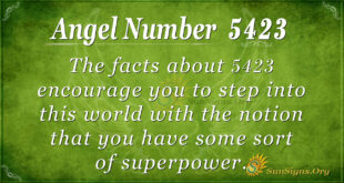 5423 angel number