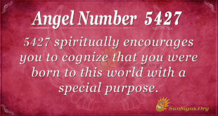 5427 angel number
