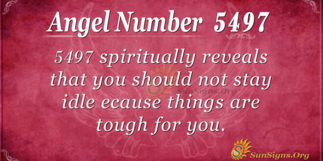 5497 angel number