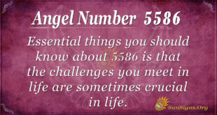 5586 angel number