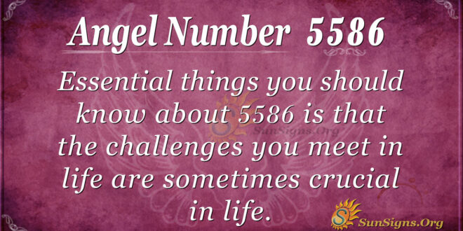 5586 angel number