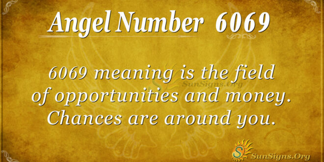 6069 angel number