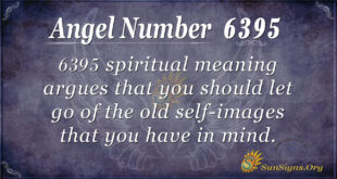 6395 angel number