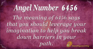 6456 angel number