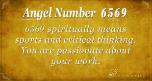 6569 angel number