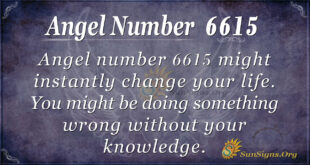 6615 angel number