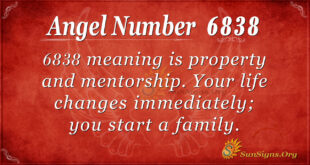 6838 angel number