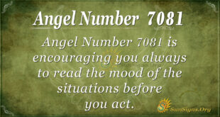 7081 angel number