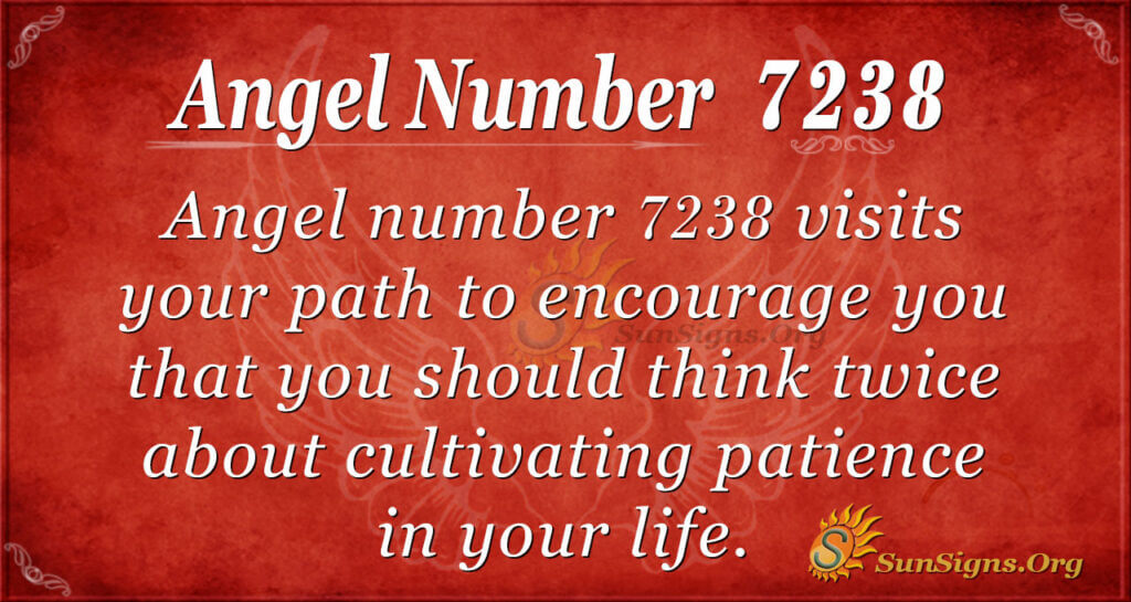 7238 angel number