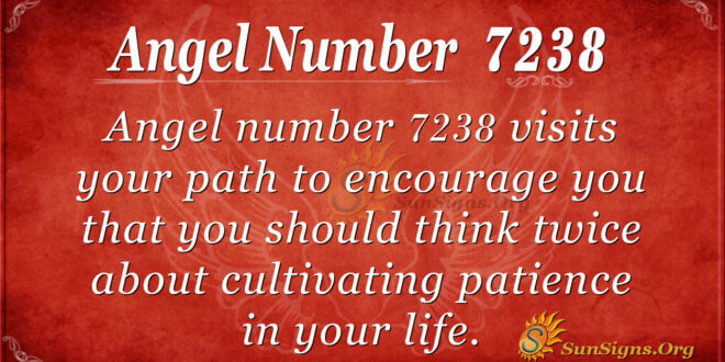 7238 angel number