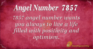 7857 angel number