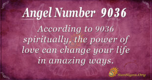9036 angel number