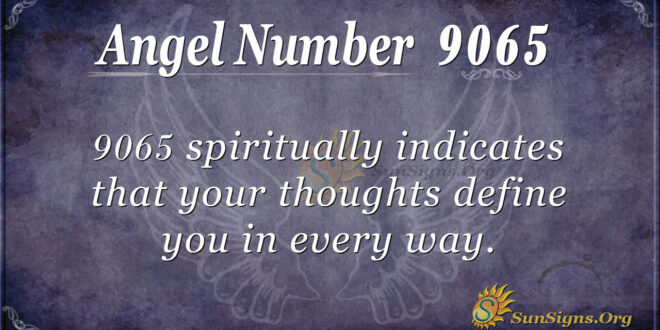 9065 angel number