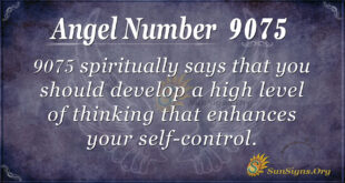 9075 angel number