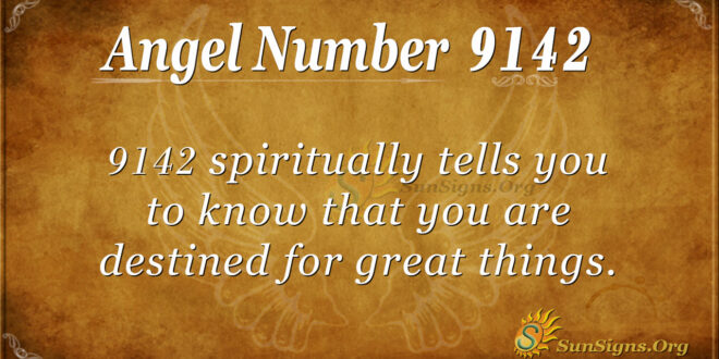 9142 angel number