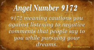 9172 angel number